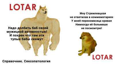 LotarSwoleDogeVSCheems.jpg