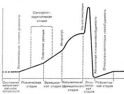 000005.jpg