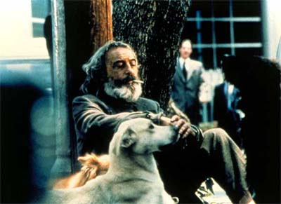 films-amoresperros.jpg